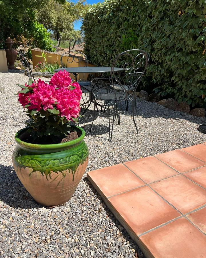 Bed and Breakfast La Bergerie Le Plan-de-la-Tour Esterno foto