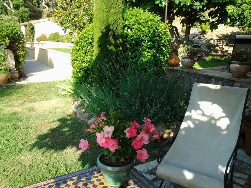 Bed and Breakfast La Bergerie Le Plan-de-la-Tour Esterno foto