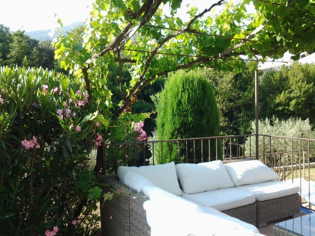 Bed and Breakfast La Bergerie Le Plan-de-la-Tour Esterno foto
