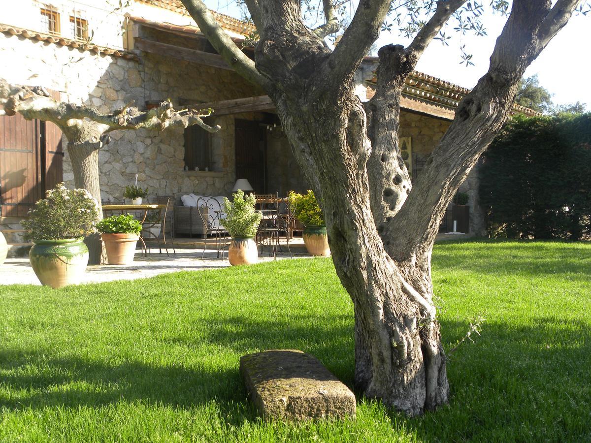 Bed and Breakfast La Bergerie Le Plan-de-la-Tour Esterno foto